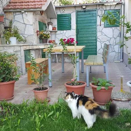 Διαμέρισμα Anaivana Τρογκίρ